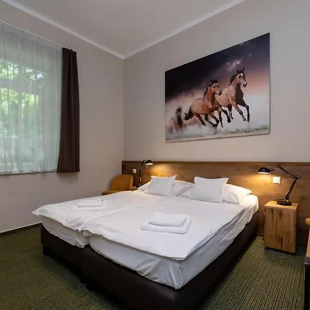 Garda Hotel 3*