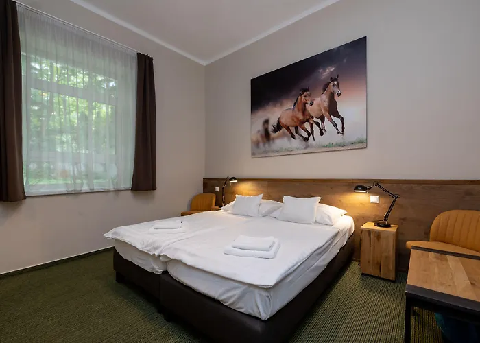 Garda Hotel 3*